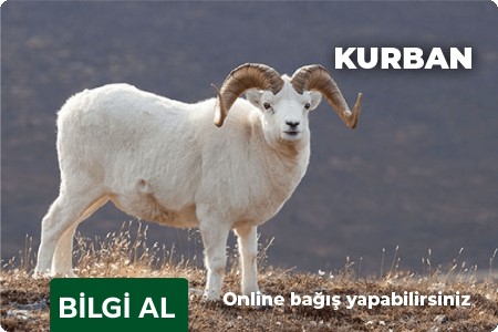 kurban